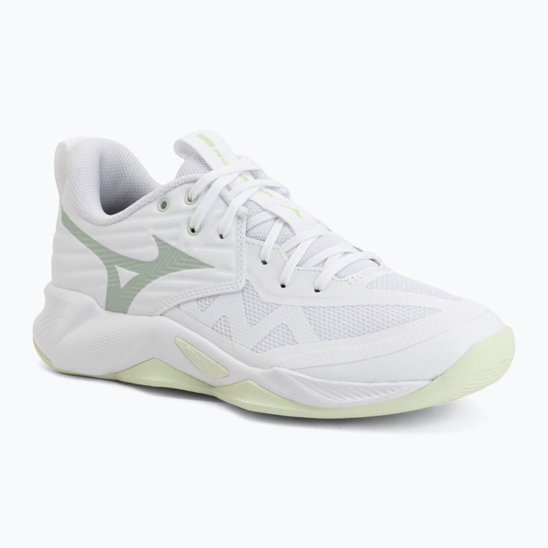 Moteriški tinklinio bateliai Mizuno Wave Momentum Pro white/aqua gray/ambrosia