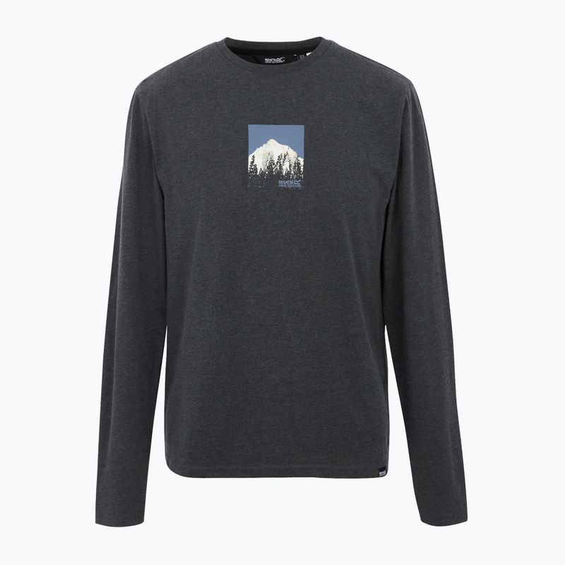 Vyriški marškinėliai REGATTA Maylow black 5