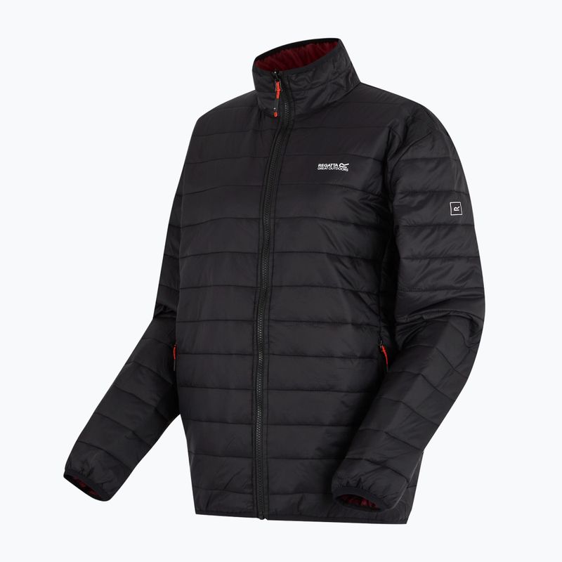 Vyriška 3-in-1 striukė REGATTA Wentwood dark maroon/black 14