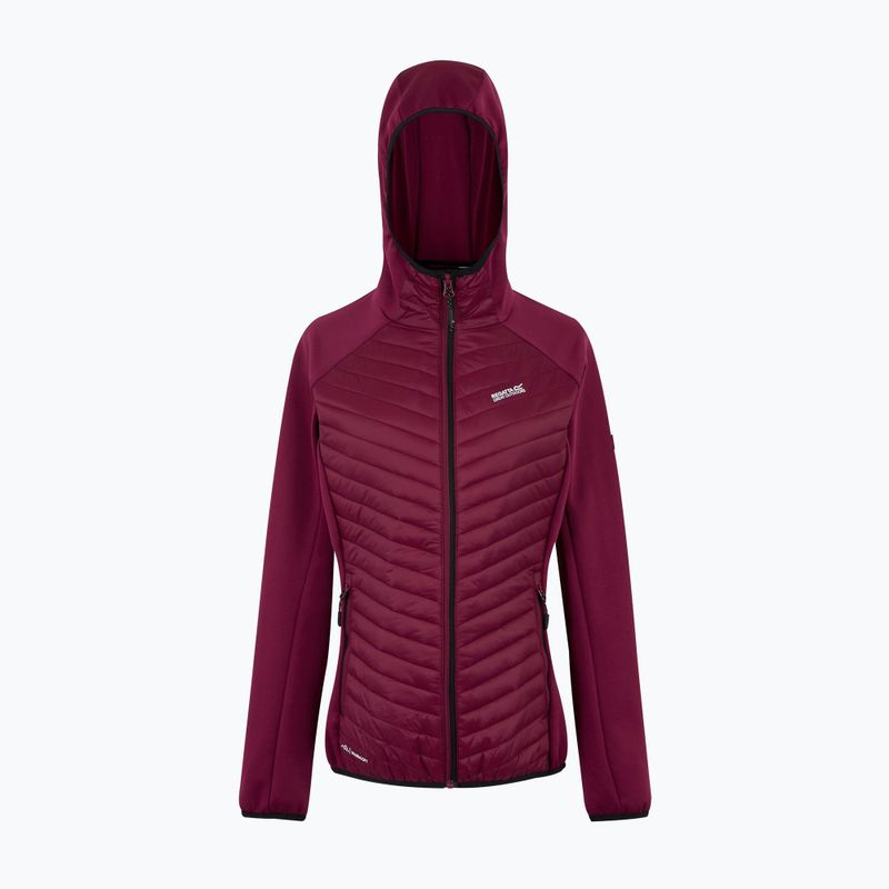Moteriška hibridinė striukė REGATTA Andreson Hybrid dark pimento 5