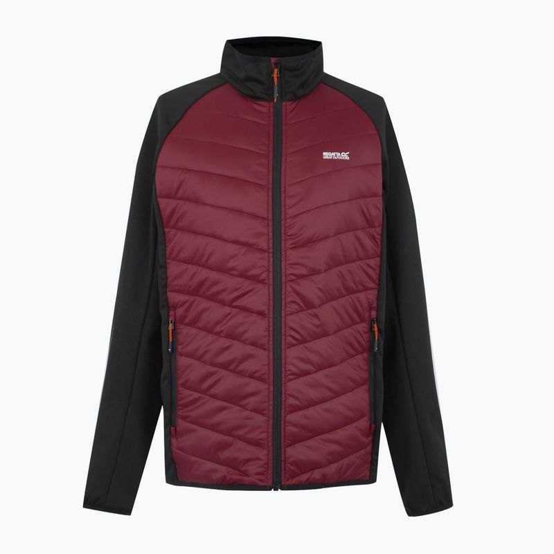 Vyriška 3-in-1 striukė REGATTA Sacramento dark maroon/black 13