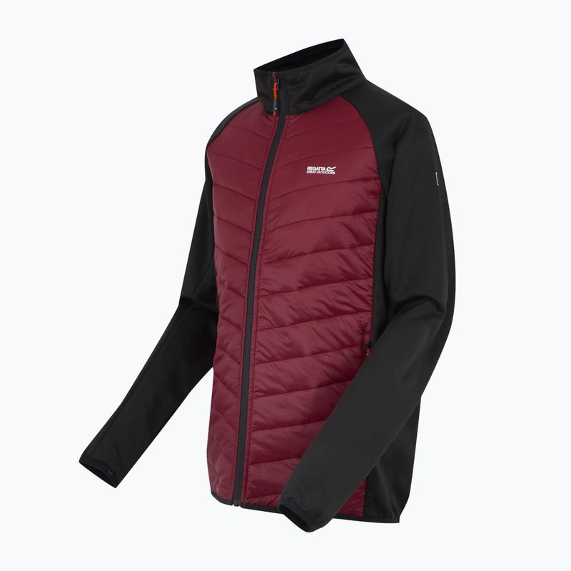 Vyriška 3-in-1 striukė REGATTA Sacramento dark maroon/black 15