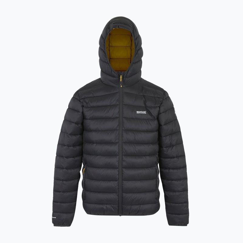 Vyriška striukė REGATTA Hooded Marizion ash/gold 8