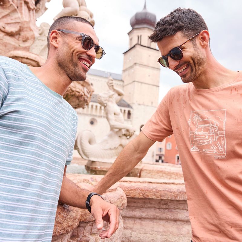 Vyriški marškinėliai Regatta ClineIX Italian clay 9