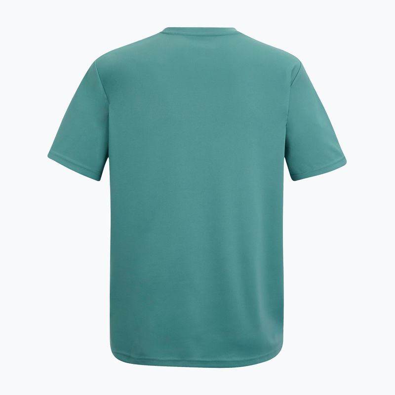 Vyriški žygio marškinėliai REGATTA Fingal arctic 6