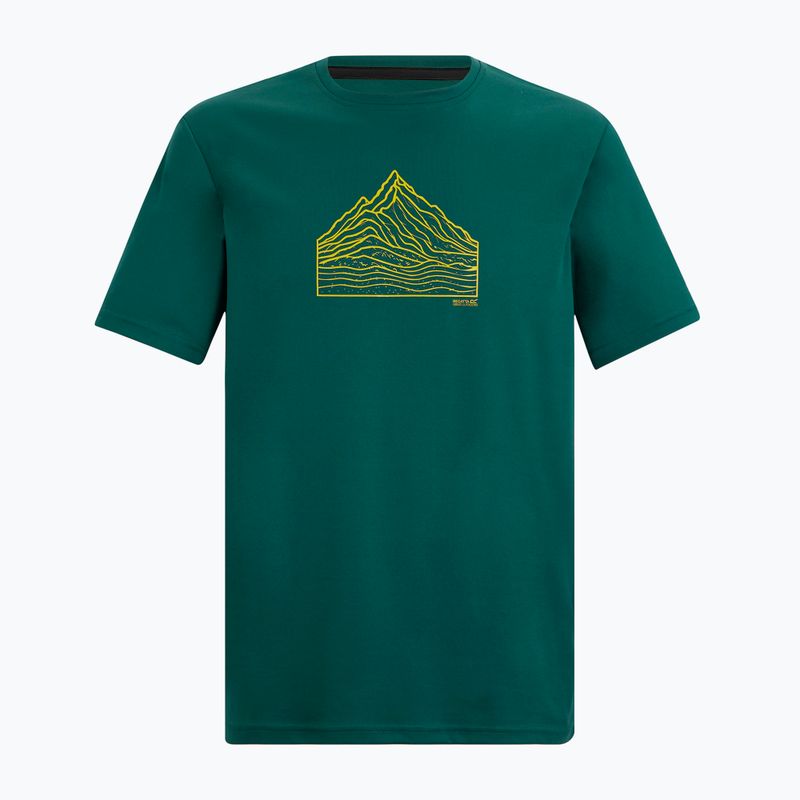 Vyriški žygio marškinėliai REGATTA Fingal mediterranea 5