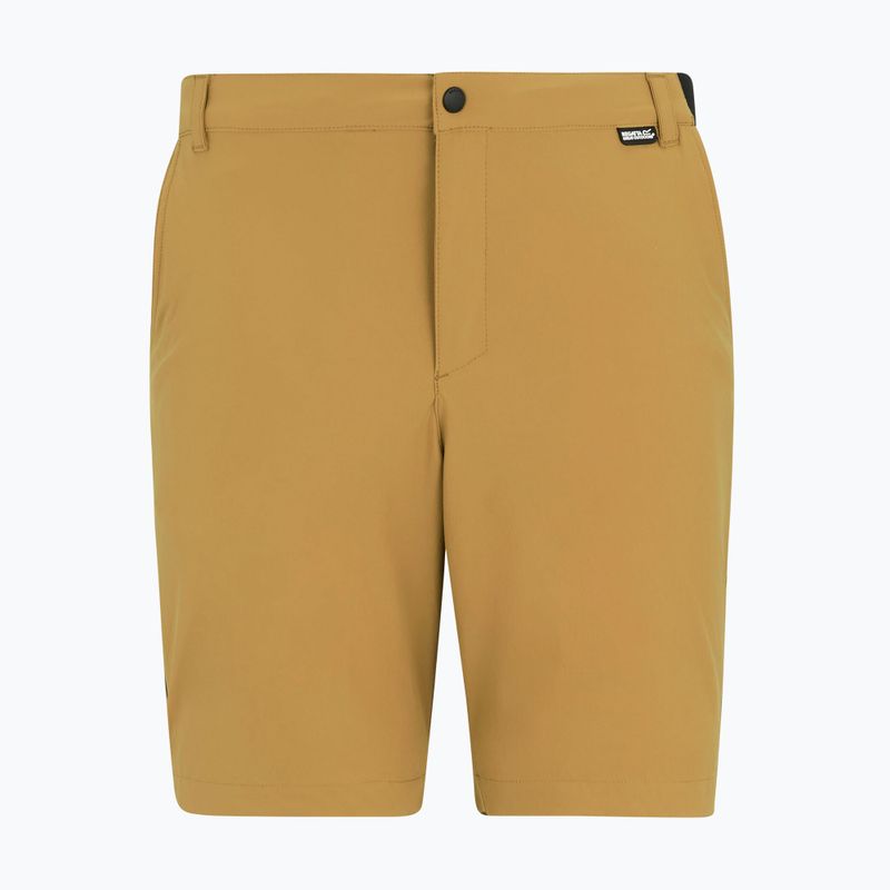 Vyriški žygio šortai REGATTA Anti Insect Travel Light wood brown 5
