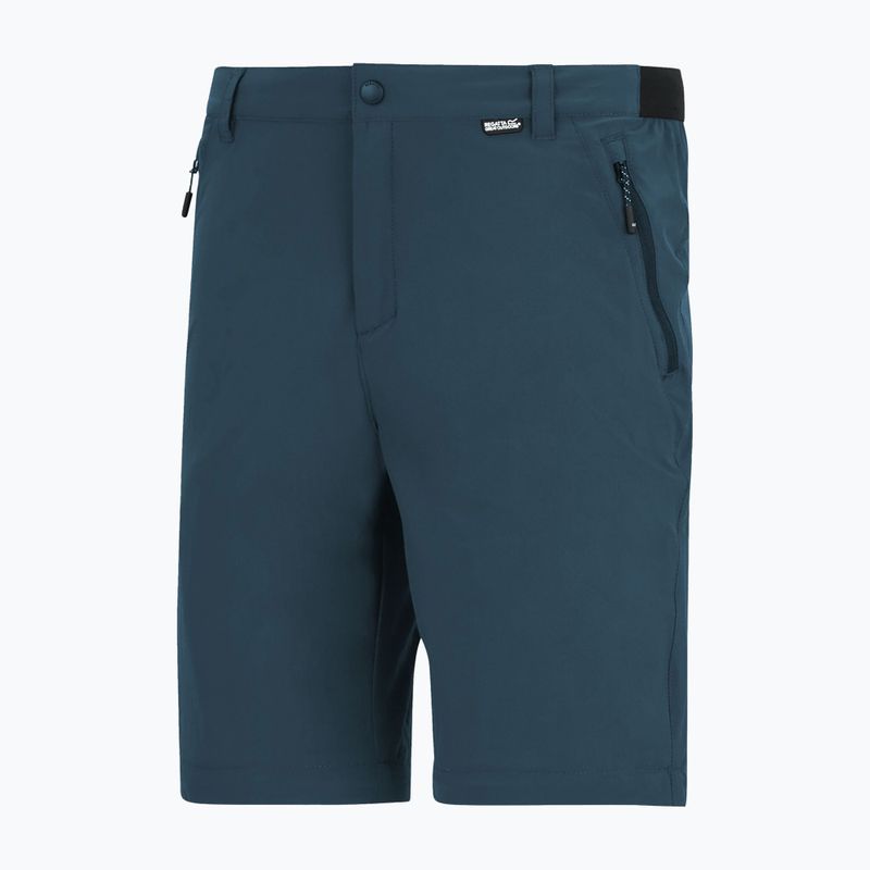 Vyriškos trekingo kelnės REGATTA Anti Insect Travel Light night sky 6