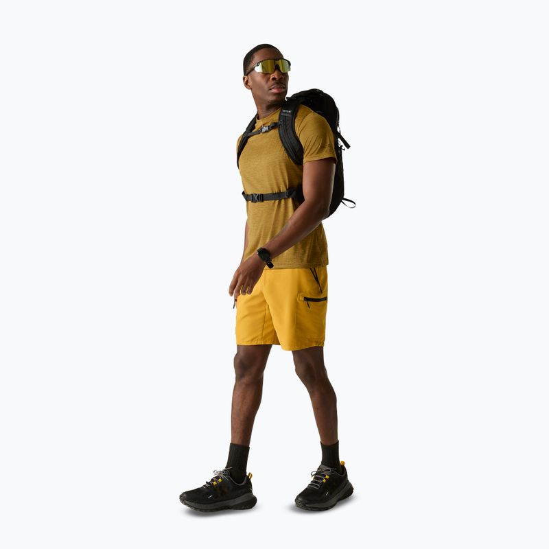 Vyriški žygio marškinėliai REGATTA Fingal Edition wood brown 2