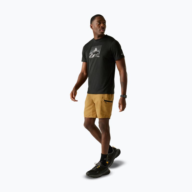 Vyriški žygio šortai REGATTA Leesville III wood brown 2