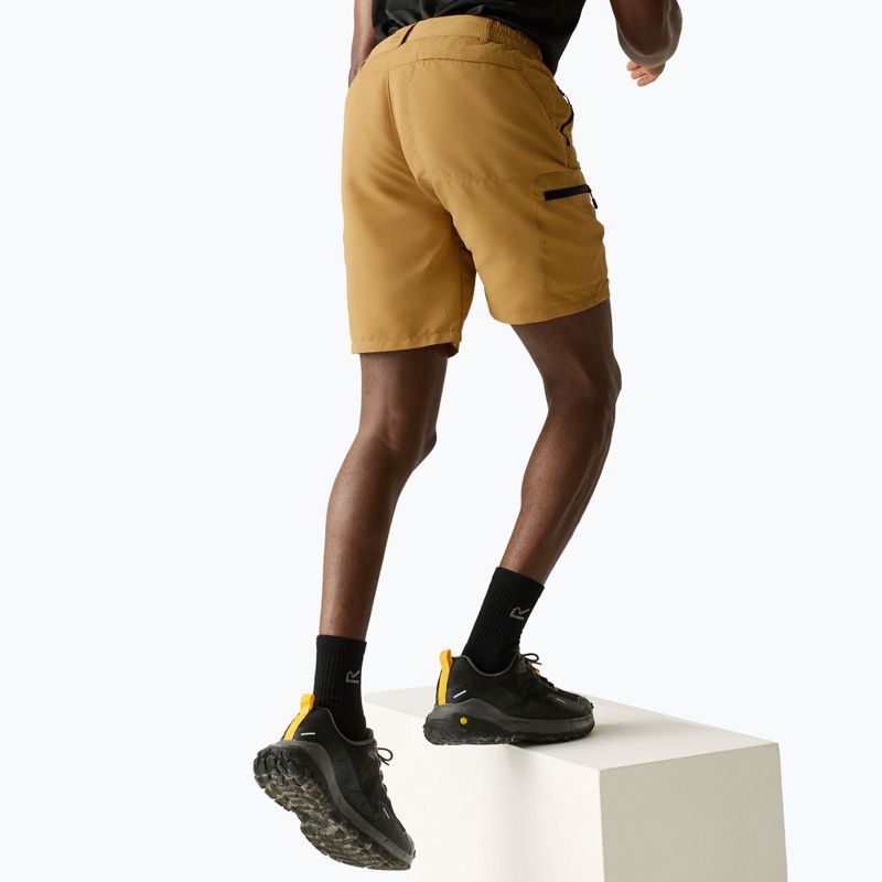 Vyriški trekingo šortai REGATTA Leesville III wood brown 4