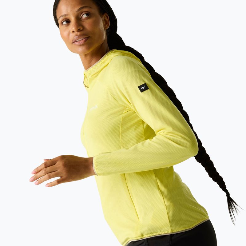 Moteriškas žygio džemperis REGATTA Huntdale canary yellow 5