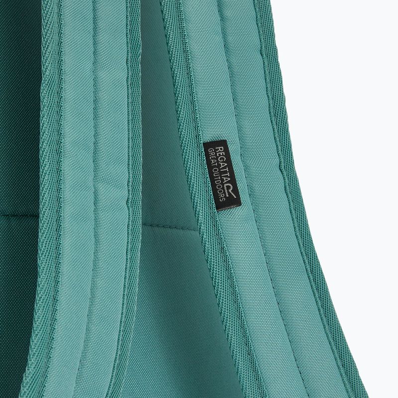 Miestinis kuprinė REGATTA Everyday Prism 25 l ivy moss 6