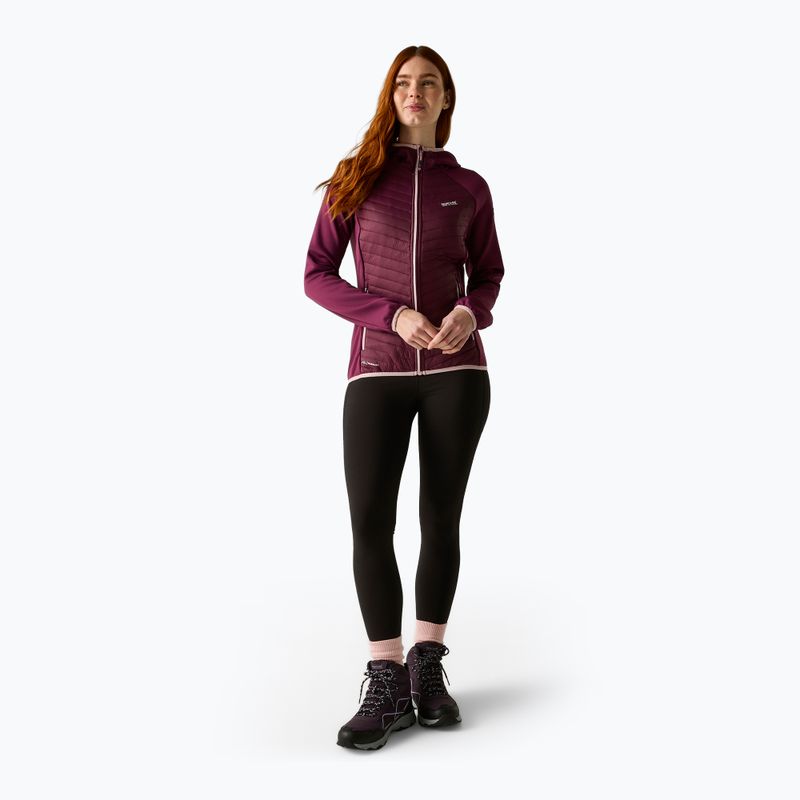 Moteriška hibridinė striukė REGATTA Andreson Hybrid fig 2