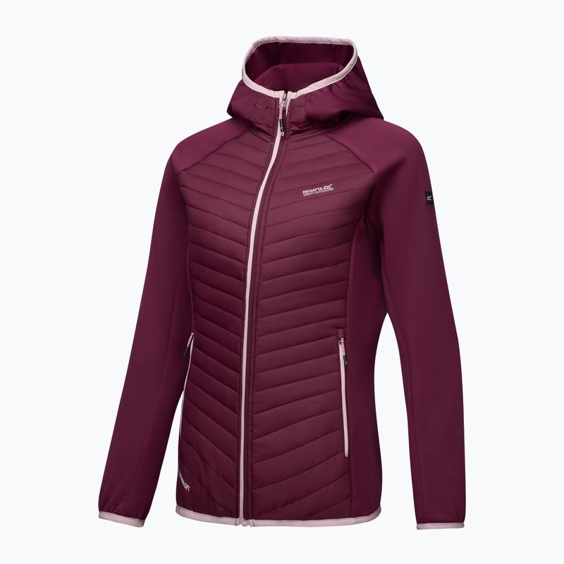 Moteriška hibridinė striukė REGATTA Andreson Hybrid fig 10