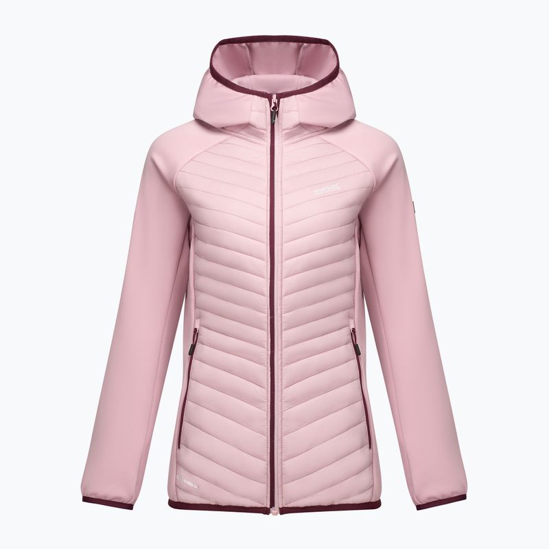 Moteriška hibridinė striukė REGATTA Andreson Hybrid powder lilac /fig 8