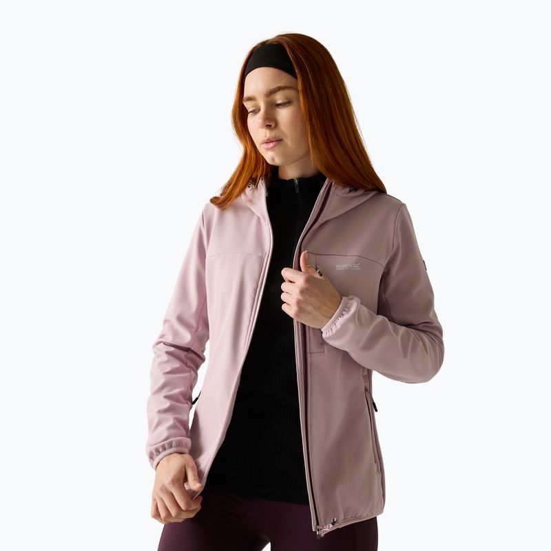Moteriška softshell striukė REGATTA Ossek powder lilac 3