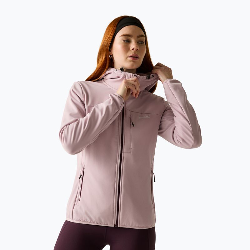 Moteriška softshell striukė REGATTA Ossek powder lilac 5