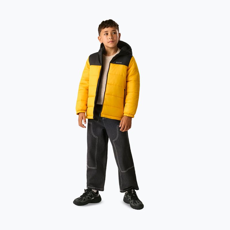 Šilta striukė vaikams REGATTA Lofthouse black/mustard 2