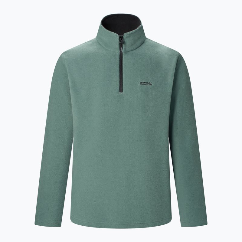 Vyriškas flisinis džemperis Regatta Thompson dark forest green 6