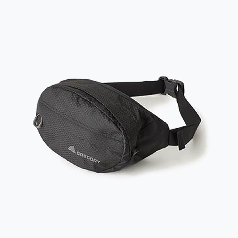 Rankinė ant juosmens Gregory Nano Waistpack obsidian black 9