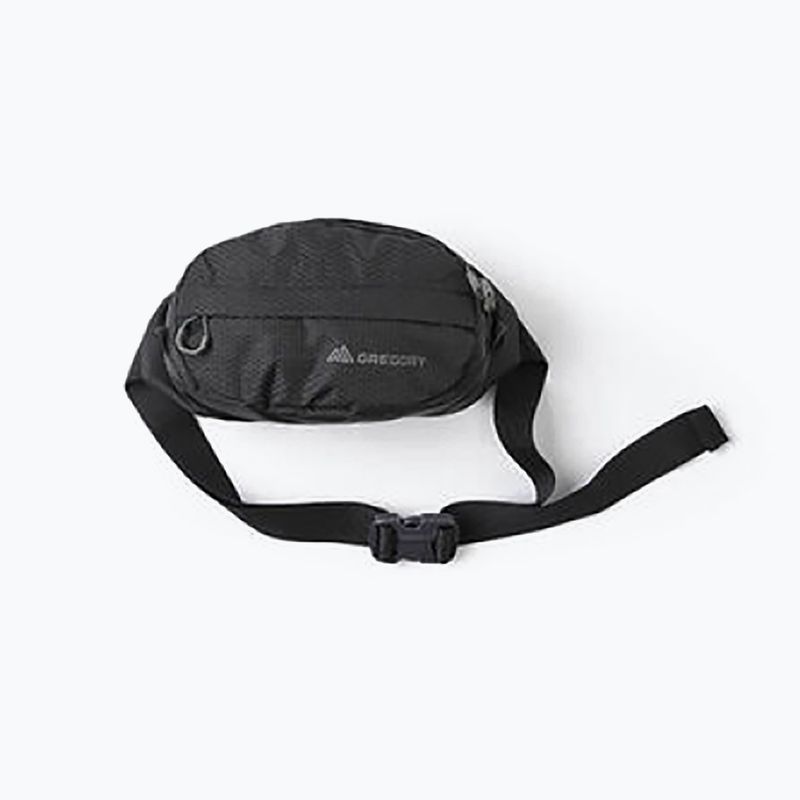 Rankinė ant juosmens Gregory Nano Waistpack obsidian black 11