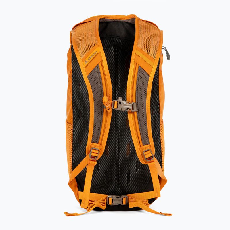 Gregory Nano 18 l miesto kuprinė orange 111498 3