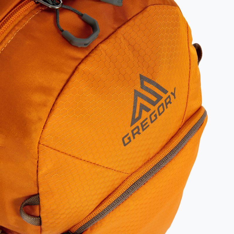 Gregory Nano 18 l miesto kuprinė orange 111498 4