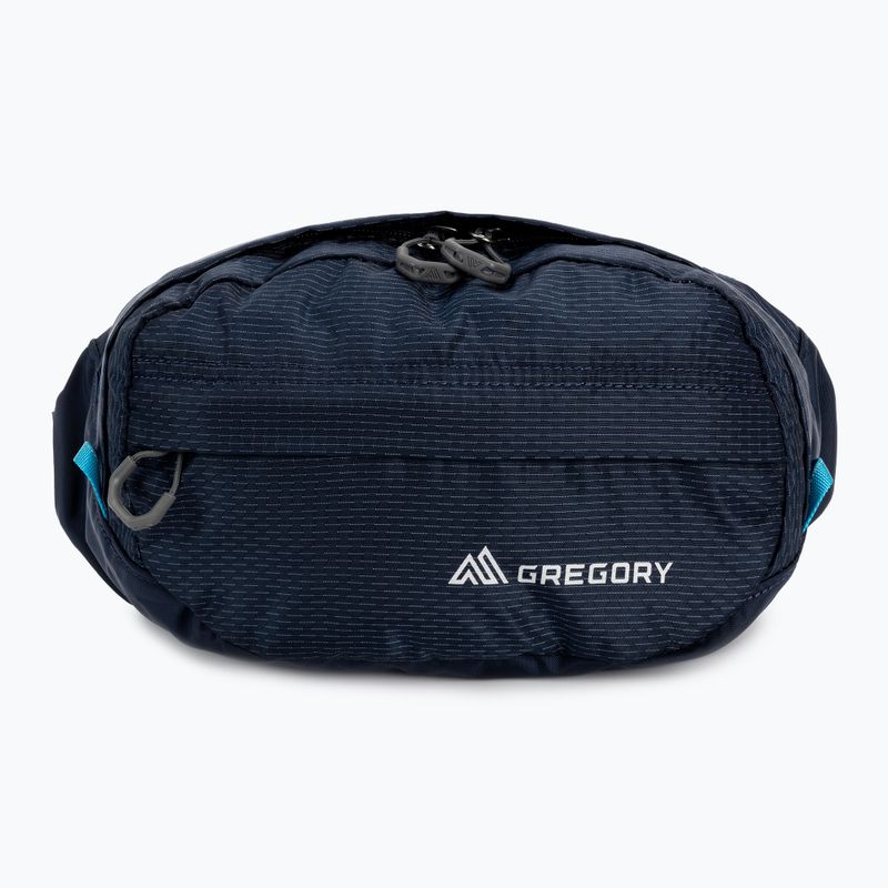 Rankinė ant juosmens Gregory Nano Waistpack bright navy 3