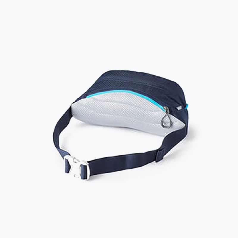 Rankinė ant juosmens Gregory Nano Waistpack bright navy 10