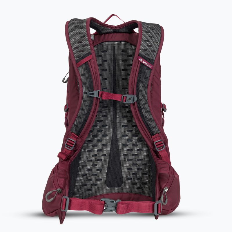 Turistinė kuprinė Gregory Kiro 22 l amethyst purple 3