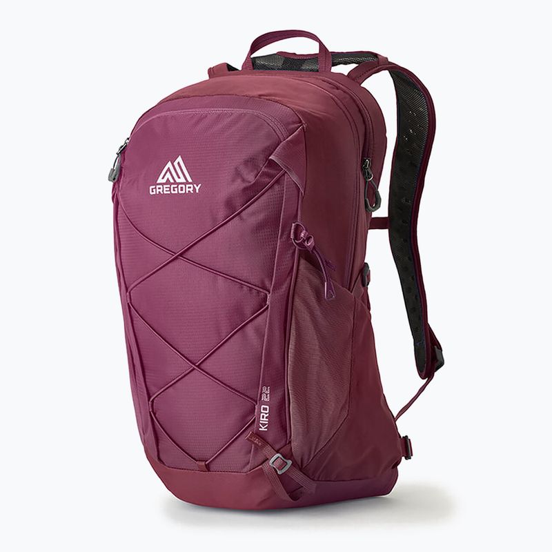 Turistinė kuprinė Gregory Kiro 22 l amethyst purple 6
