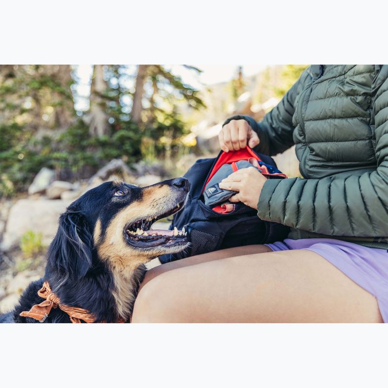 Turistinė kuprinė Gregory Nano 30 l bright navy 7