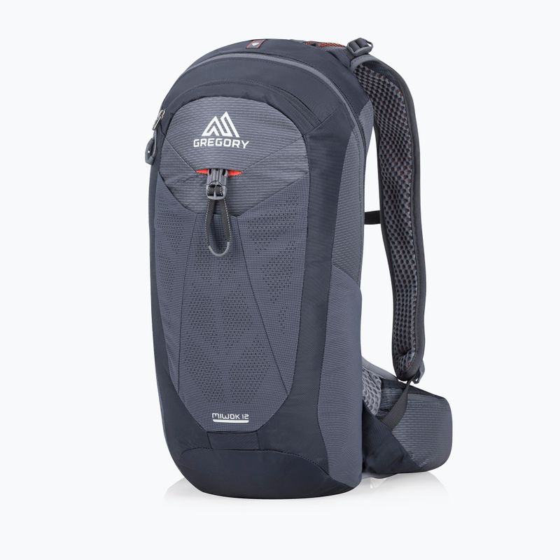 Gregory Miwok 12 l turistinė kuprinė pilka 111479 7