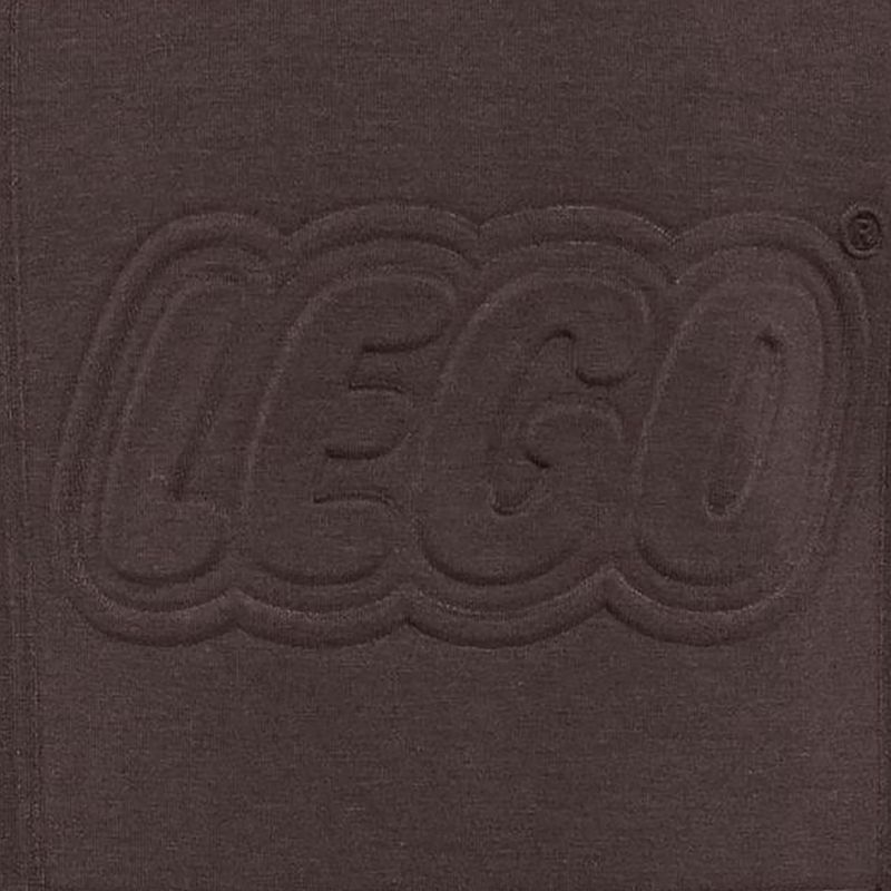 Vaikiškas džemperis LEGO Lwsky 600 dark brown 3
