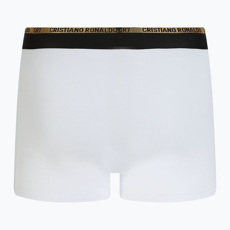 Vyriškos trumpikės CR7 Basic Trunk 3 poros balck/white/grey 3