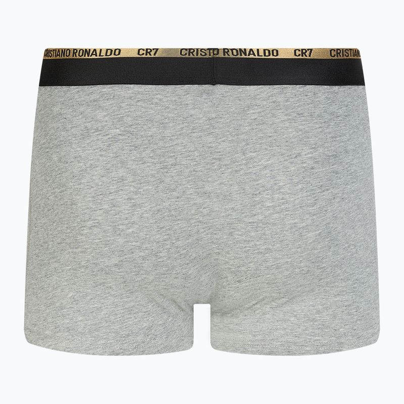 Vyriškos trumpikės CR7 Basic Trunk 3 poros balck/white/grey 6