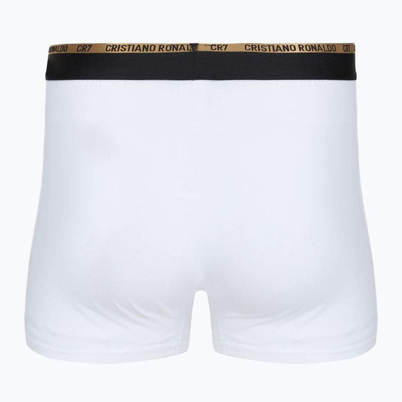 Vyriškos trumpikės CR7 Basic Trunk 7 poros multicolur 3