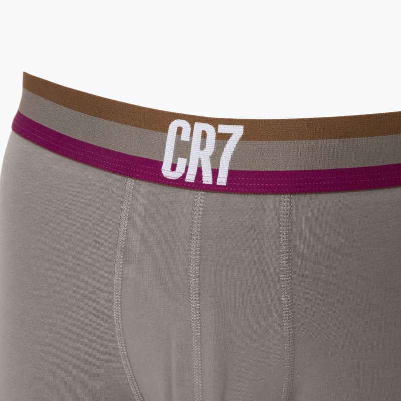 Vyriškos trumpikės CR7 Basic Trunk 3 pary 704 multicolour 6