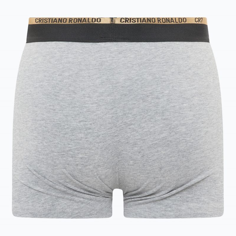 Vyriškos trumpikės CR7 Basic Trunk 8 poros multicolor 7