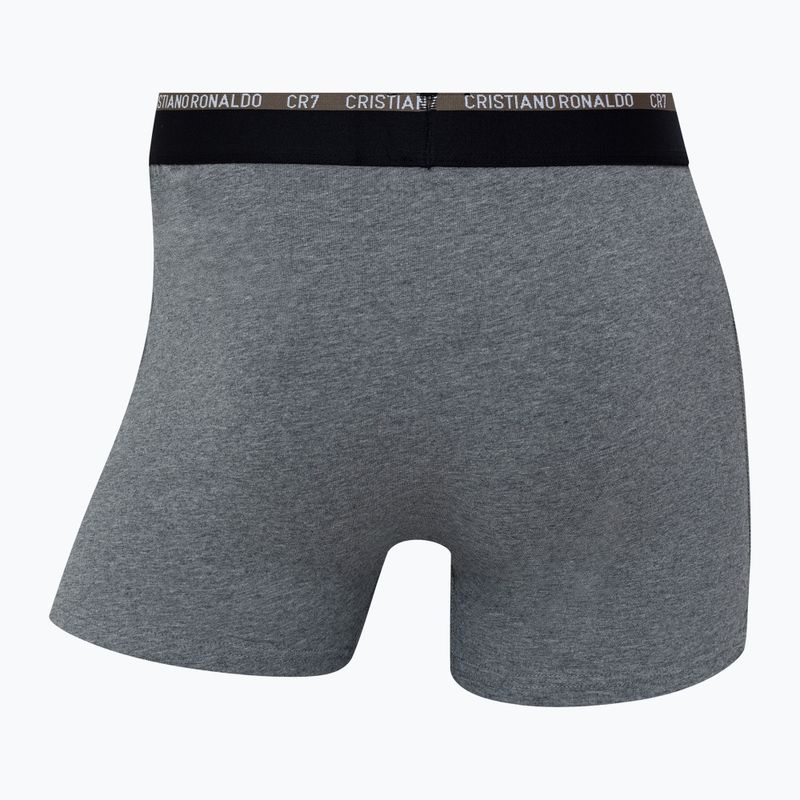 Vyriškos trumpikės CR7 Basic Trunk 10 porų multicolur 11