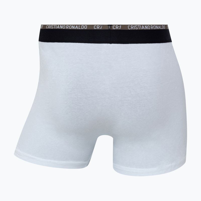 Vyriškos trumpikės CR7 Basic Trunk 10 porų multicolur 13