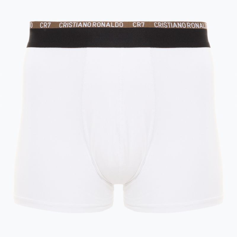 Vyriškos trumpikės CR7 Basic Trunk 10 porų multicolur 2