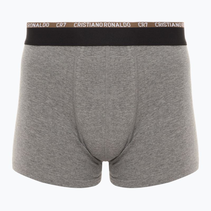 Vyriškos trumpikės CR7 Basic Trunk 10 porų multicolur 3