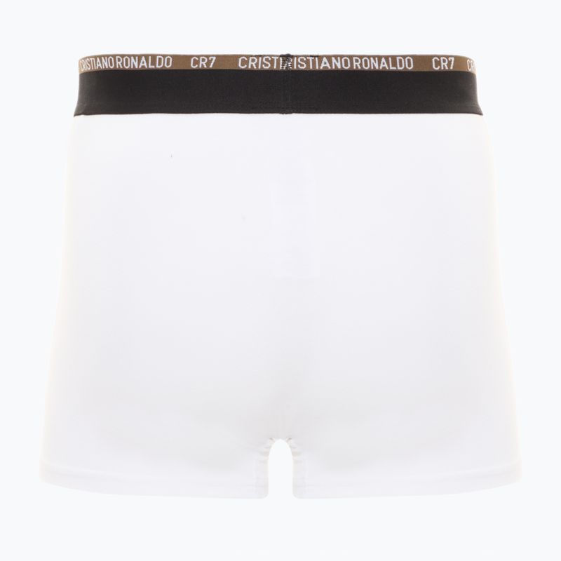 Vyriškos trumpikės CR7 Basic Trunk 10 porų multicolur 5