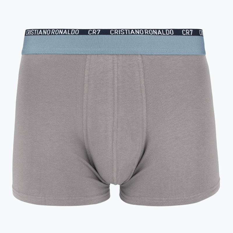 Vyriškos trumpikės CR7 Basic Trunk 5 poros 2412 multicolur 4