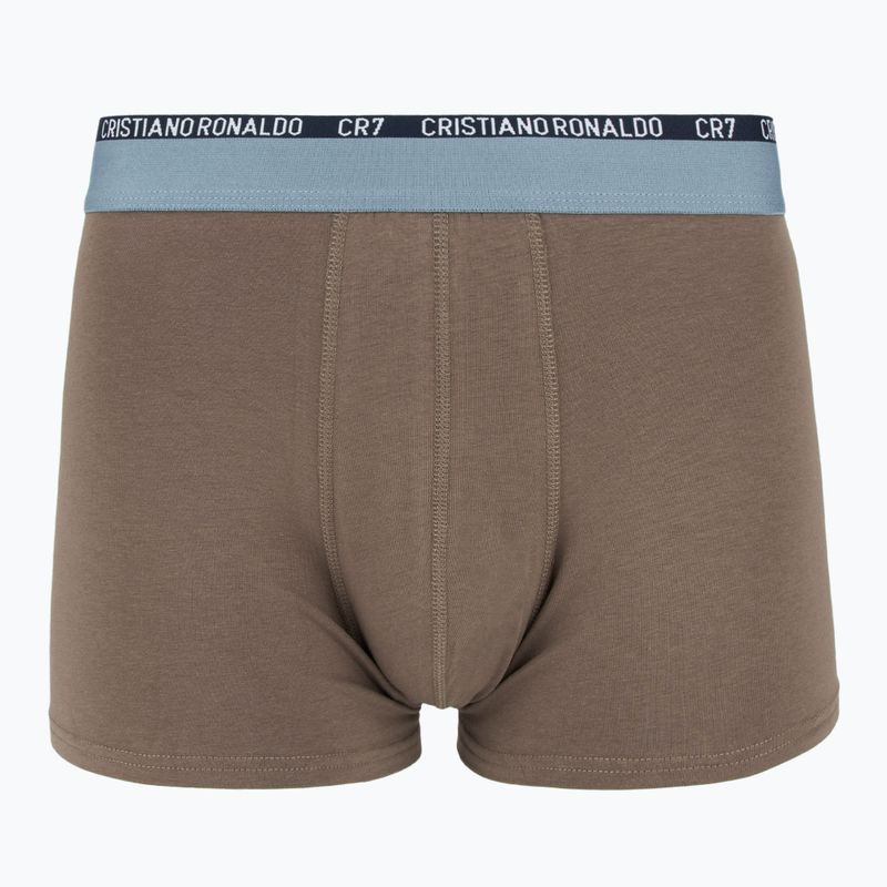 Vyriškos trumpikės CR7 Basic Trunk 5 poros 2412 multicolur 5