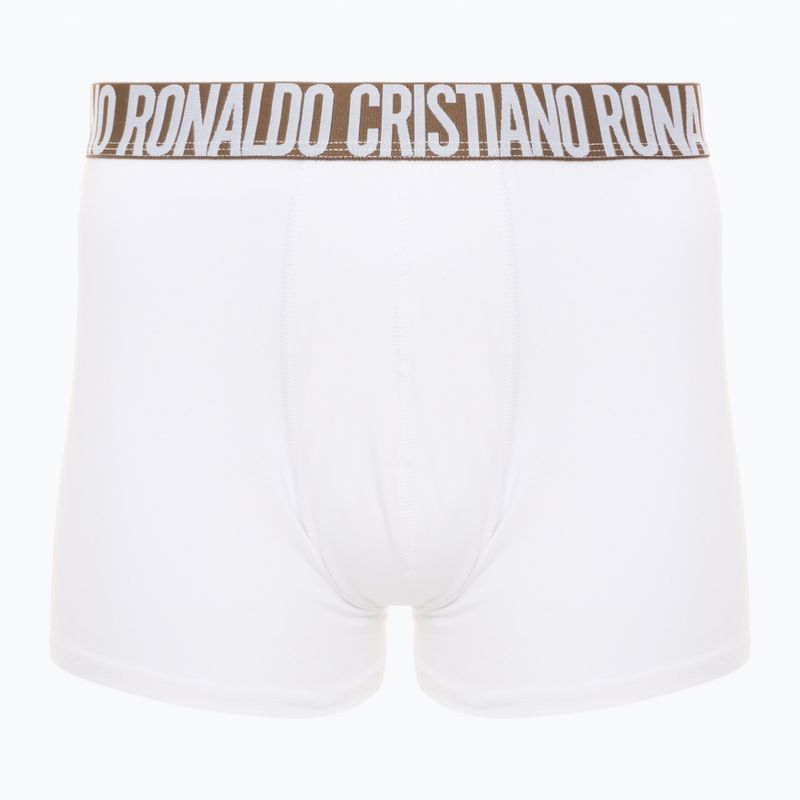Vyriškos trumpikės CR7 Basic Trunk 3 poros 2764 multicolour 2