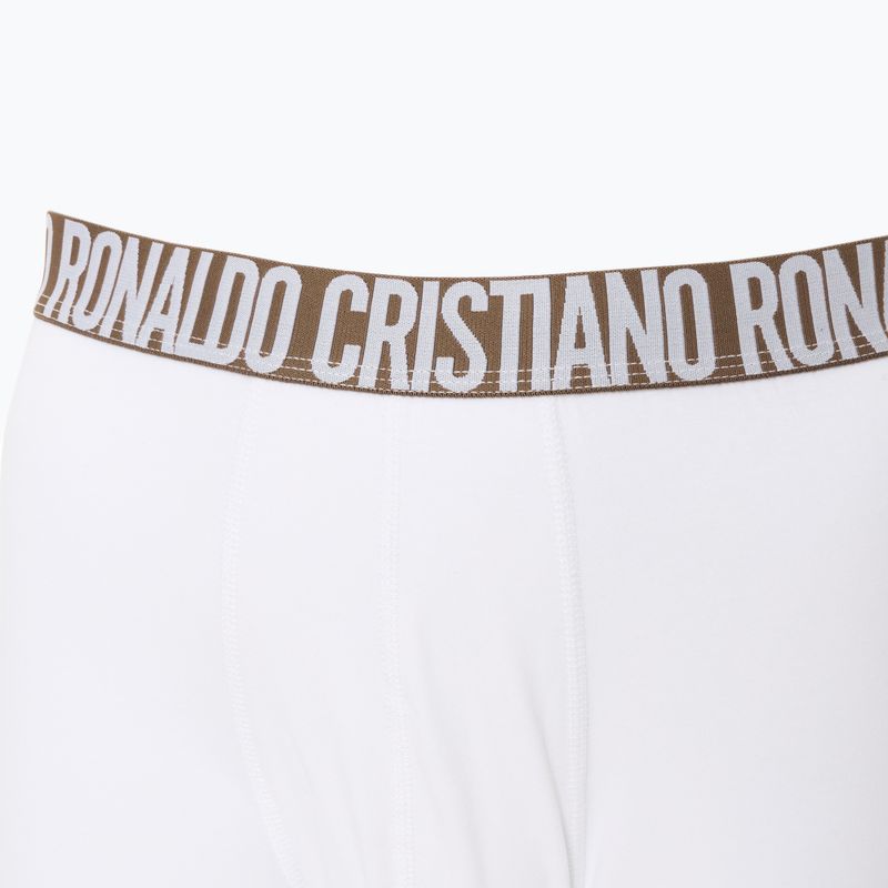 Vyriškos trumpikės CR7 Basic Trunk 3 poros 2764 multicolour 5