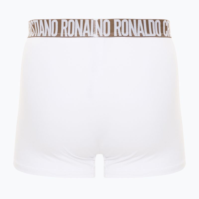 Vyriškos trumpikės CR7 Basic Trunk 3 poros 2764 multicolour 6